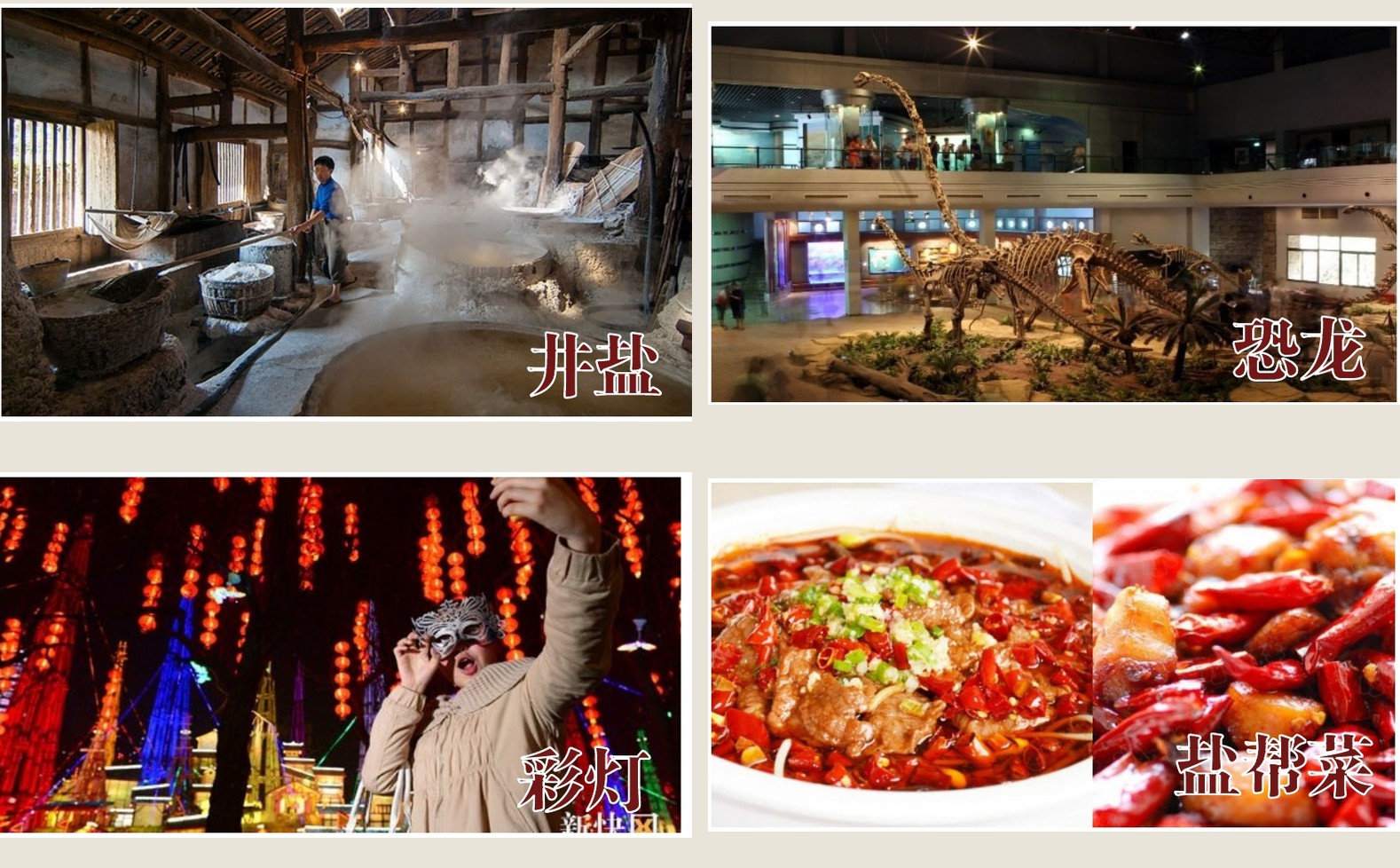 报告中的盐龙灯食城市名片图像